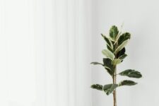 What Are the Best Wall Decor Options for Minimalist Interiors?